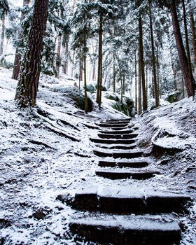 Jaro